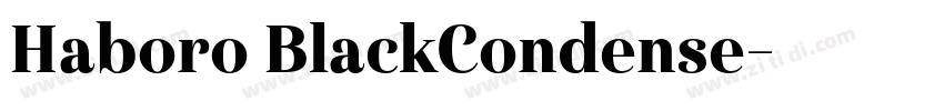 Haboro BlackCondense字体转换